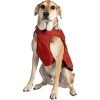 Mante Pour Chien